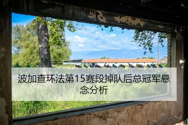 bo-jia-cha-huan-fa-di-sai-duan-diao-dui-hou-zong-guan-jun-xuan-nian-fen-xi-2-993.jpg